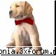 Avatarul best ! - dragutz avatar Sora_may locul 3 din partea mea - Concurs